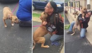 Il retrouve son chien après 2 ans de séparation...