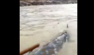 Un groupe de pêcheurs chinois découvrent une mystérieuse créature mi-crocodile mi-dauphin !