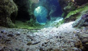 Superbe plongée dans des cavernes sous-marines en Floride