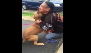 Il retrouve son chien volé après deux années de séparation