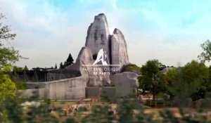 Le Parc Zoologique de Paris, un monde à explorer