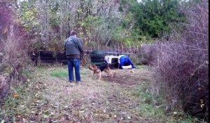 Il libère un chien enchaîné très agressif et ce qui va se passer est magique