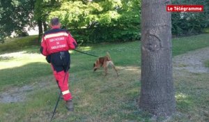 Vannes. Exercice de recherche avec un chien des sapeurs-pompiers