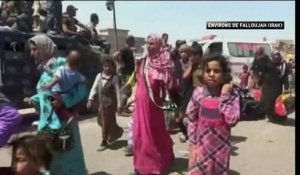 Offensive contre l'EI à Falloujah: le sort des civils inquiète l'ONU - Le 28/05/2016 à 21h00