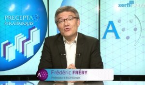 Frédéric Fréry, Xerfi Canal Netflix, Air B&B, Tesla, Uber : licornes ou animaux mythiques ?
