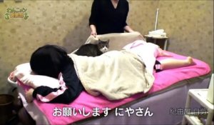 Un chat employé dans un salon de massage !