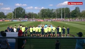 Euro 2016. Les Suédois en guest star à Saint-Nazaire