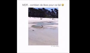 Ce pauvre chien n'a pas vu que l'eau était profonde.. FAIL hilarant