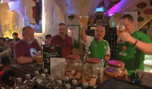 Les supporters irlandais, meilleurs supporters de l'Euro - Le 20/06/2016 à 17h40