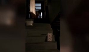Ce chien a trouvé le moyen pour jouer tout seul.. Balle dans l'escalier