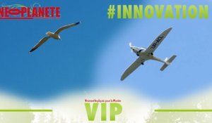 [VIP] Biomimétisme : pourquoi l'innovation imite la nature