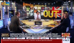 Victoire du Brexit: Quel impact sur les entreprises françaises ? - 24/06