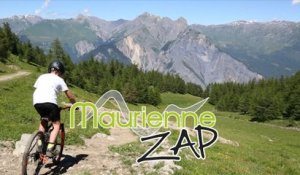 Maurienne Zap # 293