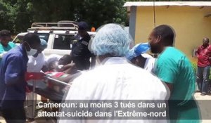 Cameroun : Au moins trois civils tués dans un attentat-suicide