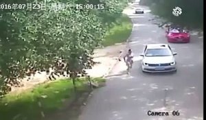 Une femme se fait tuer par un tigre dans un zoo de Pékin