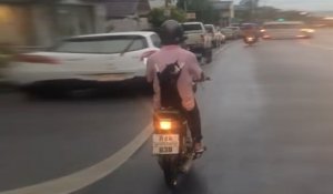 Un chat se promène à l'arrière d'un scooter avec son maitre