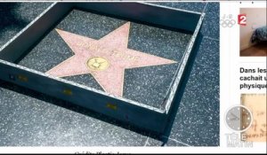 Des nouvelles de l'étoile de Donald Trump sur Hollywood boulevard - 2016/07/27