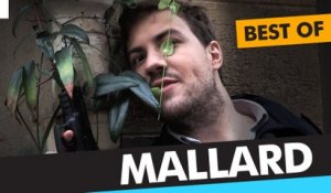 Le Dézapping - Best of Mallard