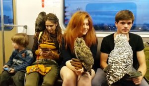 Il se baladent avec leurs chouettes dans le métro... En mode Harry Potter