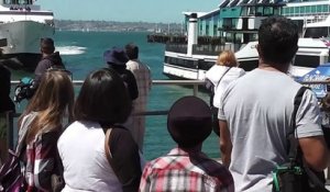 Une baleine regarde ce bateau s'écraser au port... Ahaha