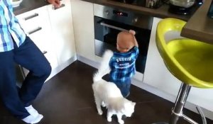 Un Chat Sauve Un Bebe Qui Allait Tomber Dans Les Escaliers Sur Orange Videos