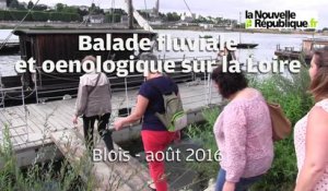 VIDEO. Balade oenologique sur la Loire à Blois