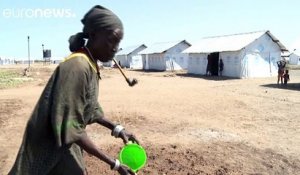 Kenya : le camp où les réfugiés deviennent agriculteurs