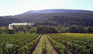 Les 100 lieux qu'il faut voir : L'Aude - bande annonce du 21/08