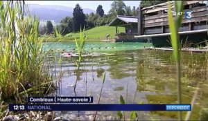 Les piscines 100% bio séduisent