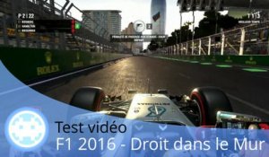 Test vidéo - F1 2016 (L'un des Meilleurs Jeux Vidéo de F1 !)