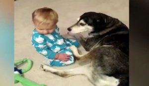 Ce bébé veut jouer avec son chien, mais le sommeil lui tient tête !