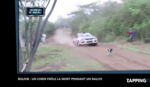 Bolivie : Un chien frôle la mort pendant un rallye, les images impressionnantes (Vidéo)