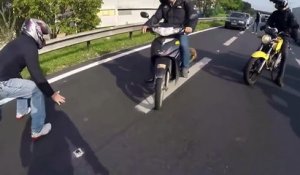 Un groupe de motards bloquent la route pour sauver la vie à un pauvre petit chien