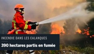 Les images de l'incendie qui a ravagé les calanques de Marseille