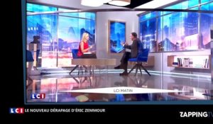 Eric Zemmour choque en affirmant que Omar Sy et Zinedine Zidane sont moins français que lui