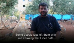 Cet homme garde plus de 100 chats à Alep en Syrie