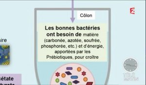 Santé - Le régime microbiote