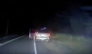 Un automobiliste se bat en pleine nuit avec un cerf !