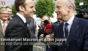 Sondage : Juppé, Macron, Le Pen au top, Sarkozy et Hollande aux choux