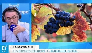 La production de vin, le cinquième anniversaire de la chute de Kadhafi en Libye : les experts d'Europe 1 vous informent