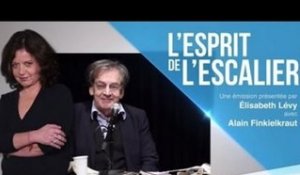 L’esprit de l’escalier   Alain Finkielkraut sur les Panama Paper et Emmanuel Macron