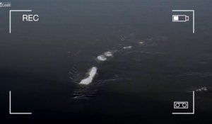 Le monstre du Loch Ness a-t-il déménagé en Alaska ? Quelle est cette étrange forme qui bouge sous l'eau ?