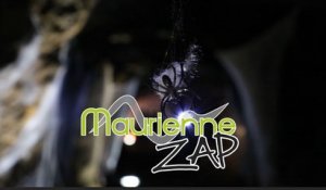 Maurienne Zap # 309