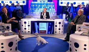 Le chien de Christophe Dechavanne perturbe "On n'est pas couché" sur France 2 - Regardez