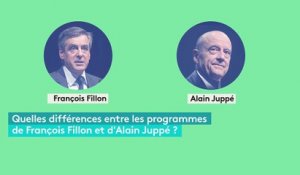 Economie, international, société... Comparez les programmes de Fillon et Juppé