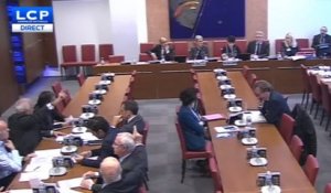 Une commission suspendue à l'Assemblée après un débat houleux sur l'IVG