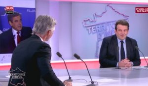 Invité : Thierry Solère - Territoires d'infos - Le Best of (24/11/2016)