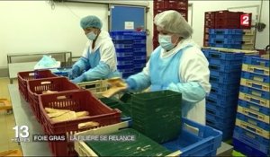 Foie gras : la filière se relance