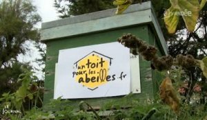 Initiative : Un toit pour les abeilles (Vendée)