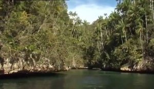 Papouasie - Nouvelle-Guinee - Papua Barat - extrait